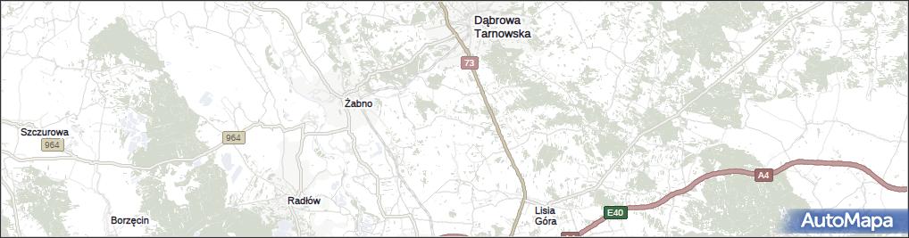 Laskówka Chorąska